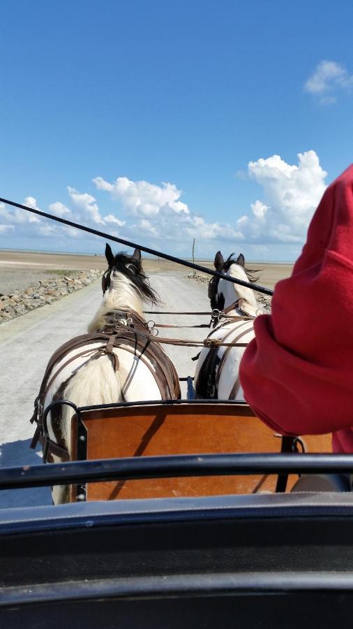 מלון Mont-Dol Les Chevaux De L'Hippocampe מראה חיצוני תמונה