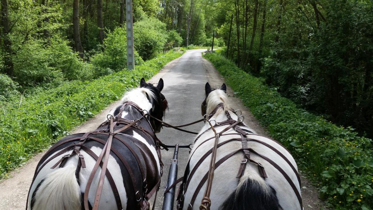 מלון Mont-Dol Les Chevaux De L'Hippocampe מראה חיצוני תמונה